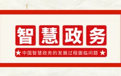 中國(guó)智慧政務(wù)發(fā)展過(guò)程中所面臨的問(wèn)題有哪些？